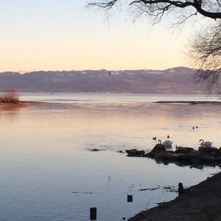 Ferienwohnung Am Bodensee Kressbronn am Bodensee Eksteriør billede